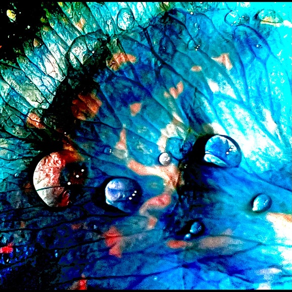 Meet your Posher, Kathryn - Picture 7 of 14